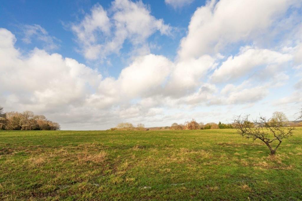 Adjoining field