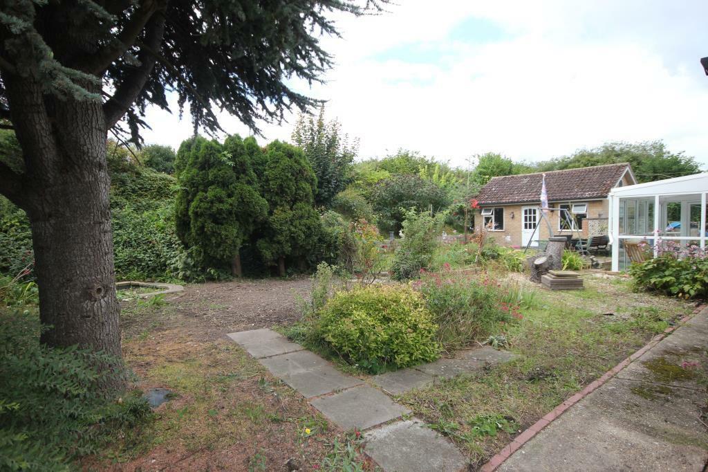garden1.JPG