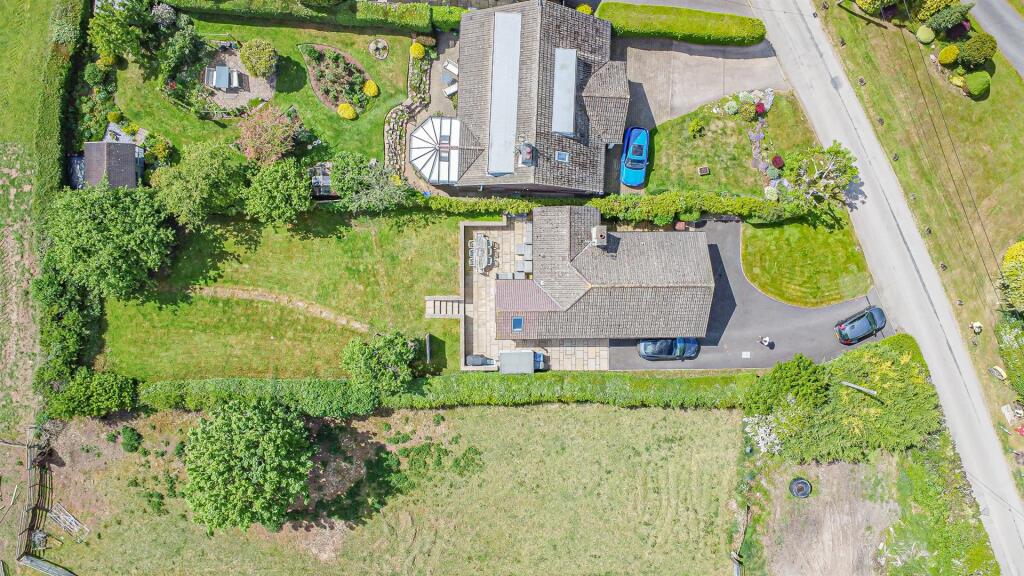 DJI_0202.jpg