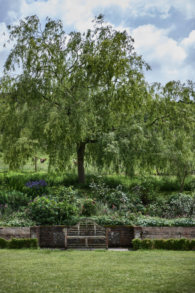 288927 - DGLA0087.jpg