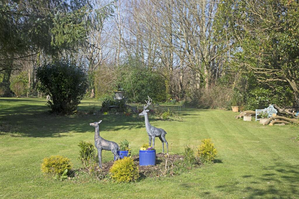 27A69A7322 - Copy.JPG