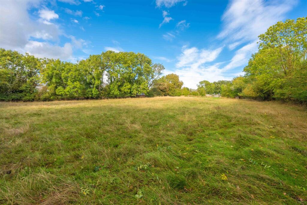 back field.jpg