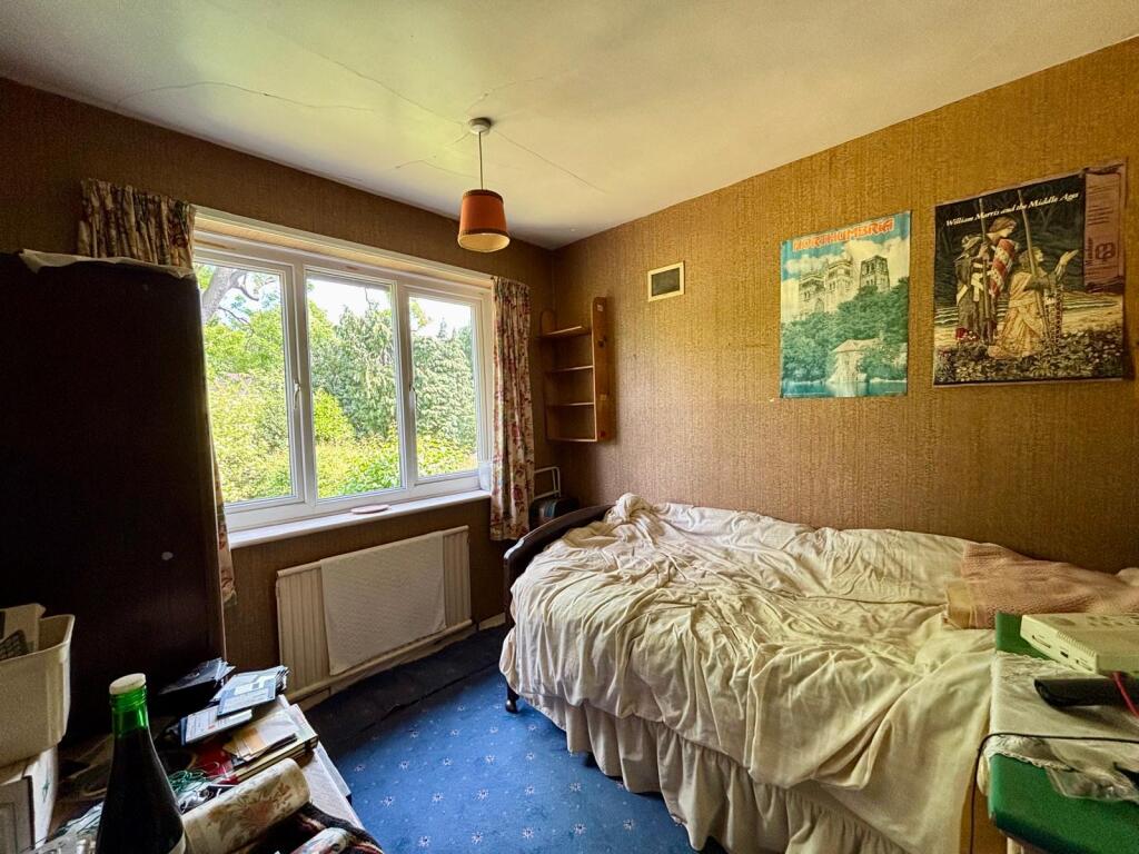 WhatsApp Image 2025-05-23 at 16.20.18 (16).jpeg