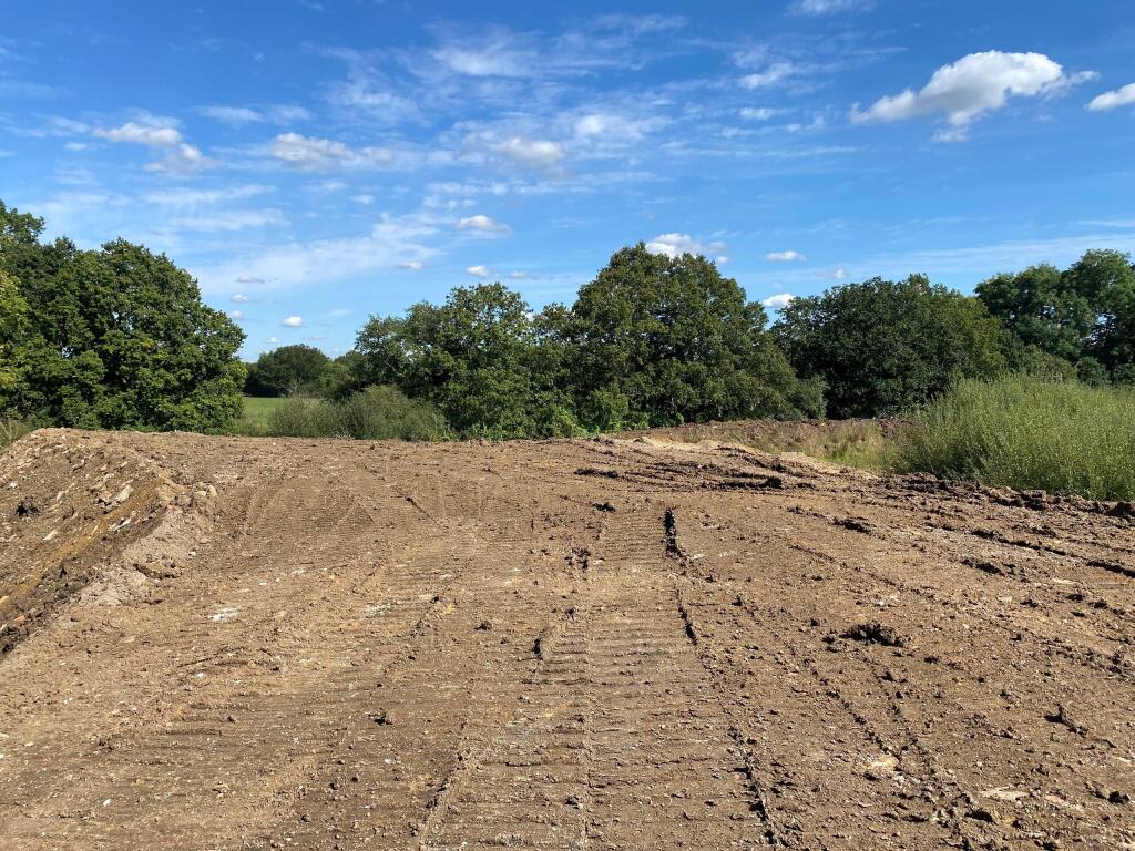 Bonnetts Lane9