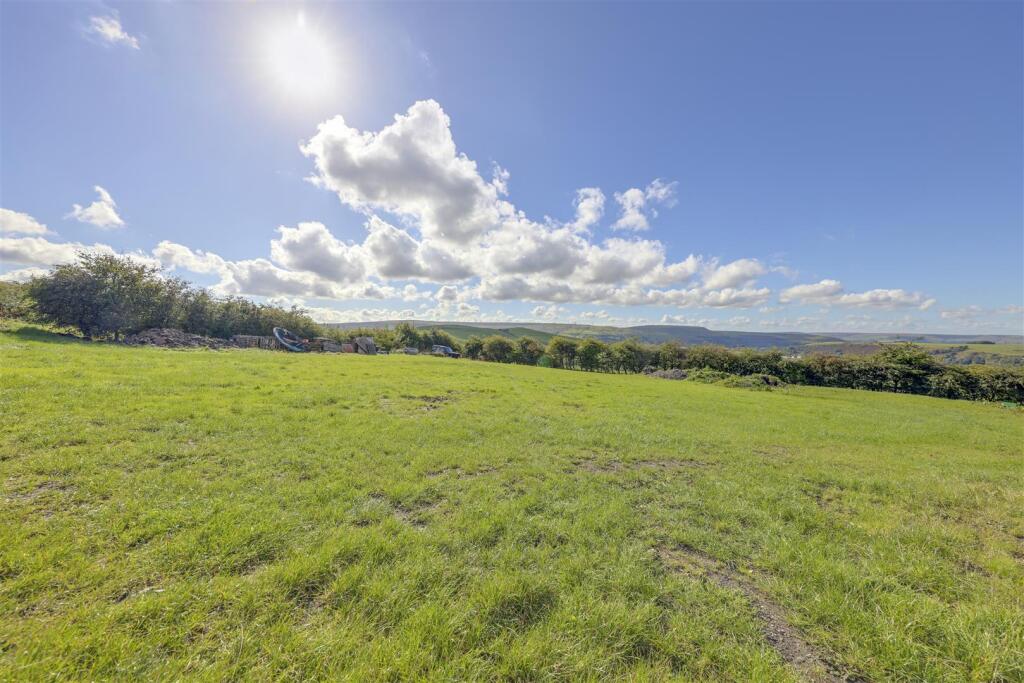 Front Paddock