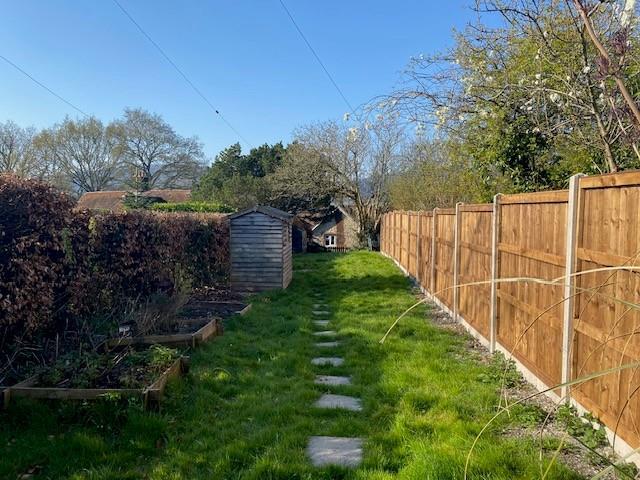 garden 2.jpg