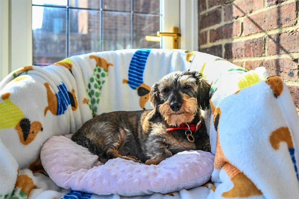 186 COODEN DRIVE - TN393AH (37).jpg