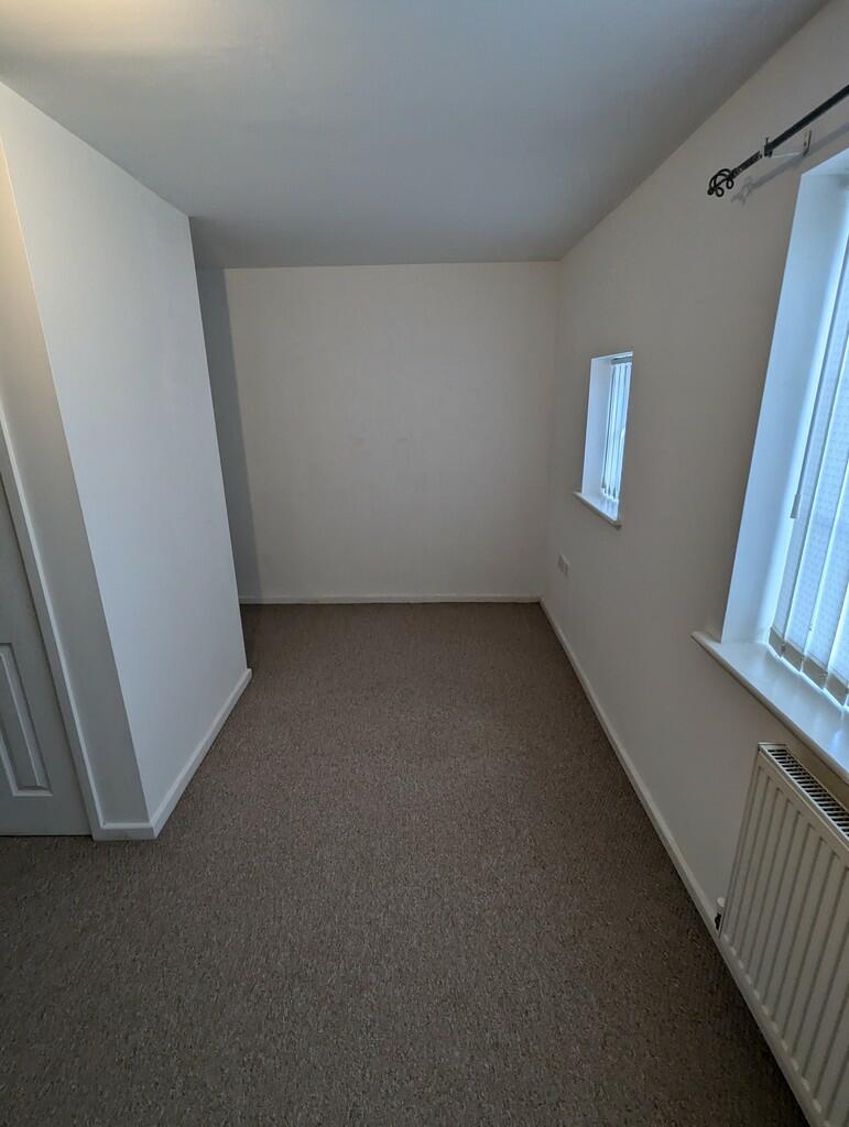 PXL_20241125_1119...