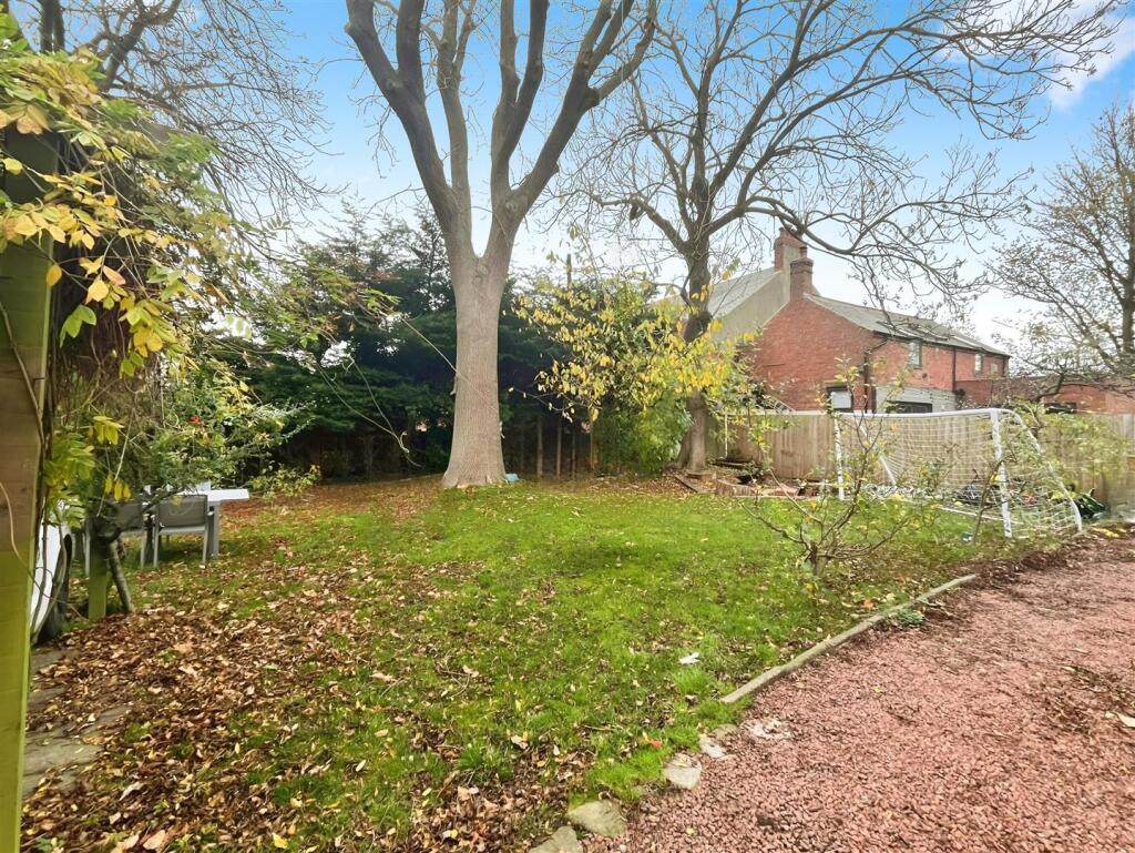 editedimage-0ef10d03-fae6-40cc-b621-75255d102029 2