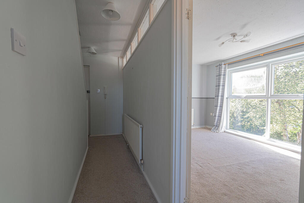 20250930-DSC06665...