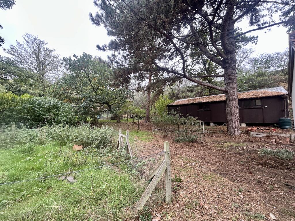 19 T202510151709.jpg