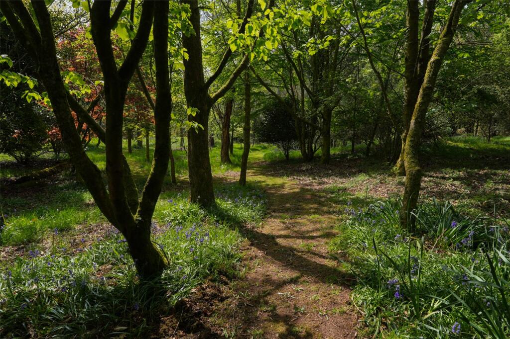 Woodland