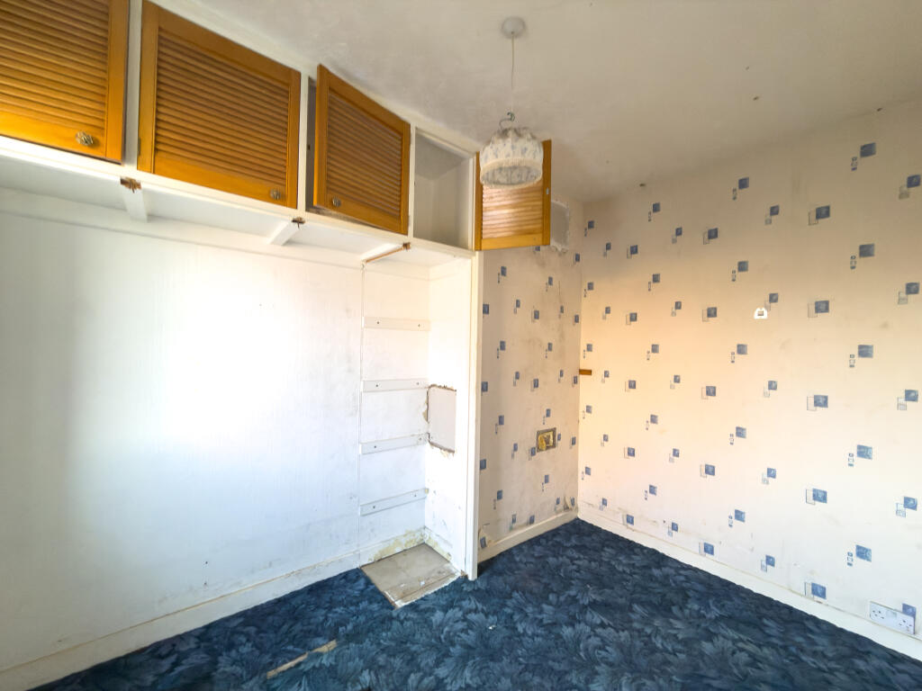 IMG 8177 T202511241608.jpg