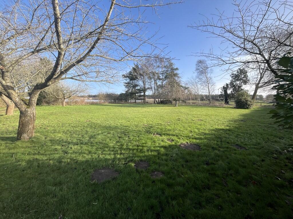 Garden 1