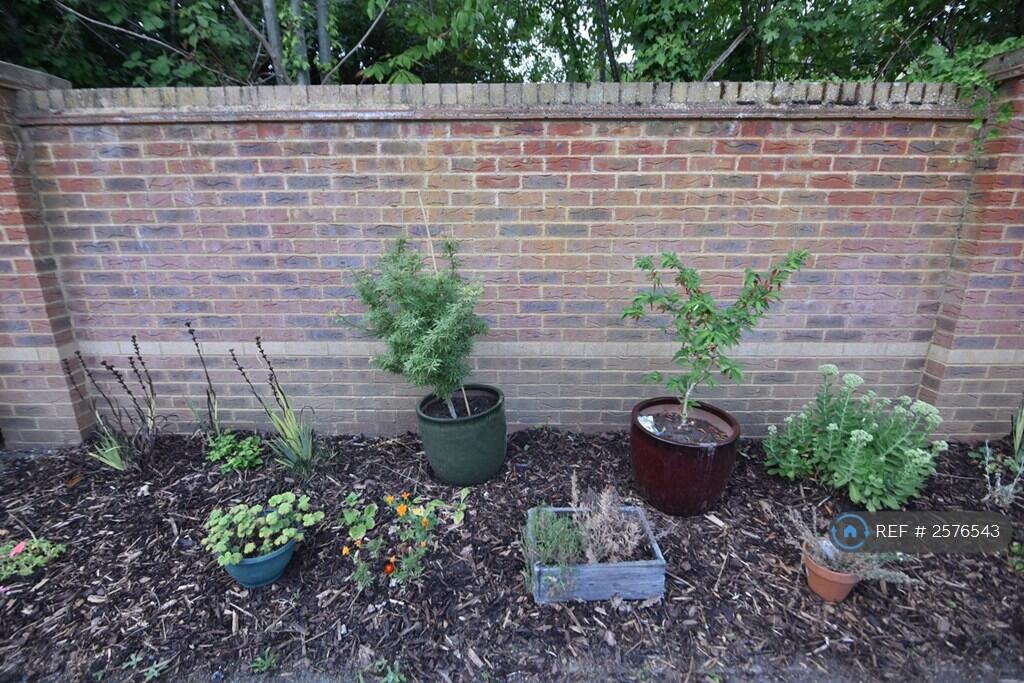 Front Garden In The Courtyard