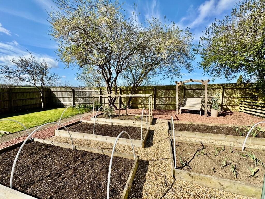 Cultivated Raised Beds