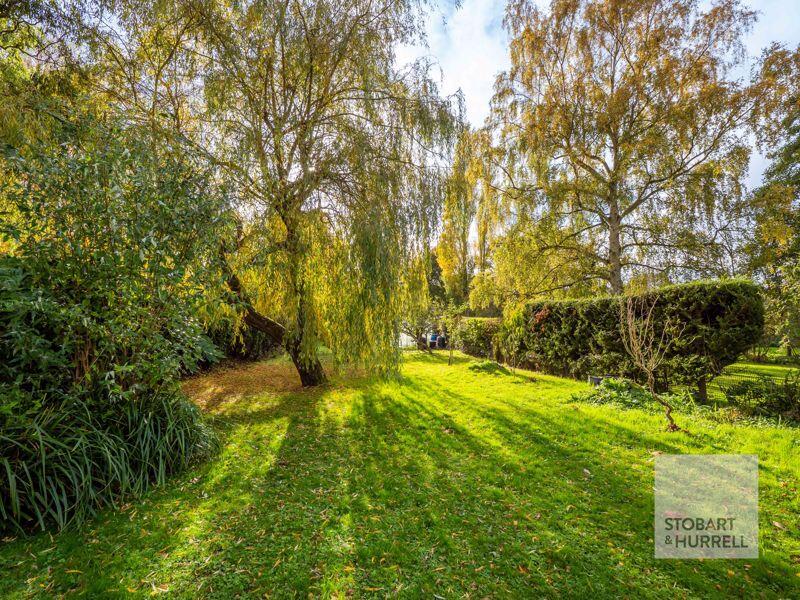 Mature Garden