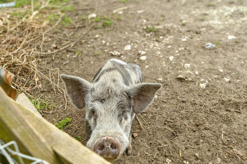 External Lifestyle Photograph