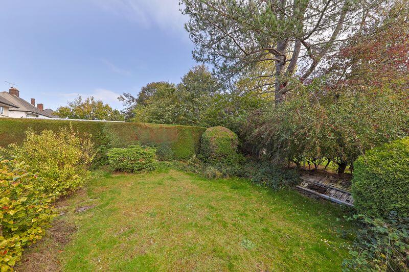 Garden.