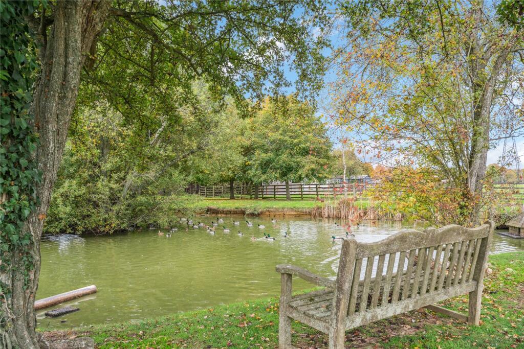 Communal Duck Pond