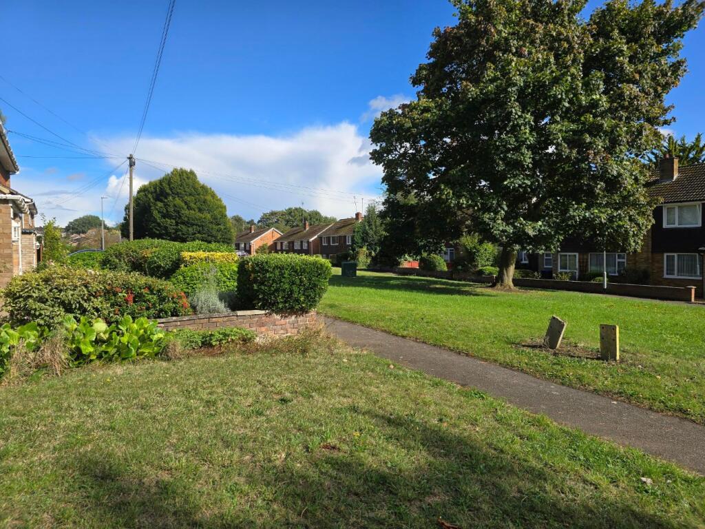 Media image 13