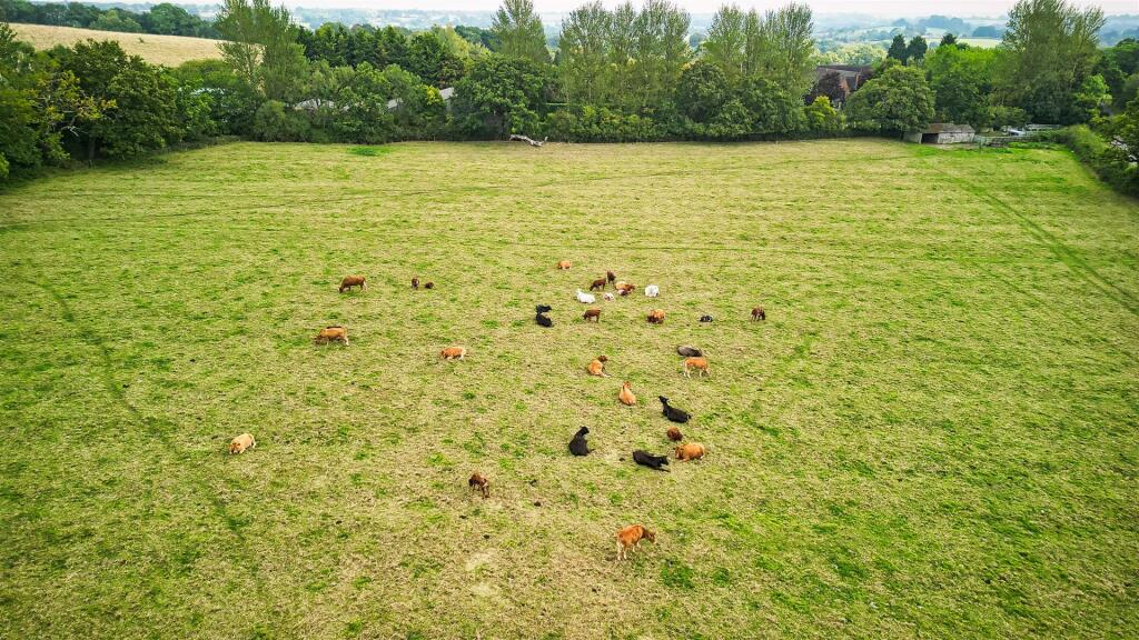 29_RawCast-SBK_North_Ullenhall_B95 5PT_0029.jpeg