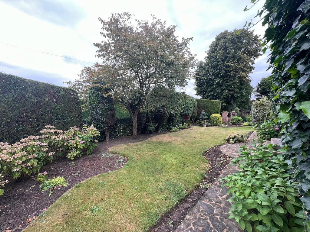 IMG-20240828-WA00...