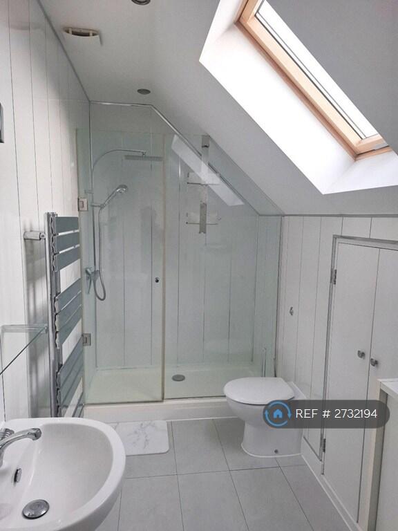 Contemporary Shower