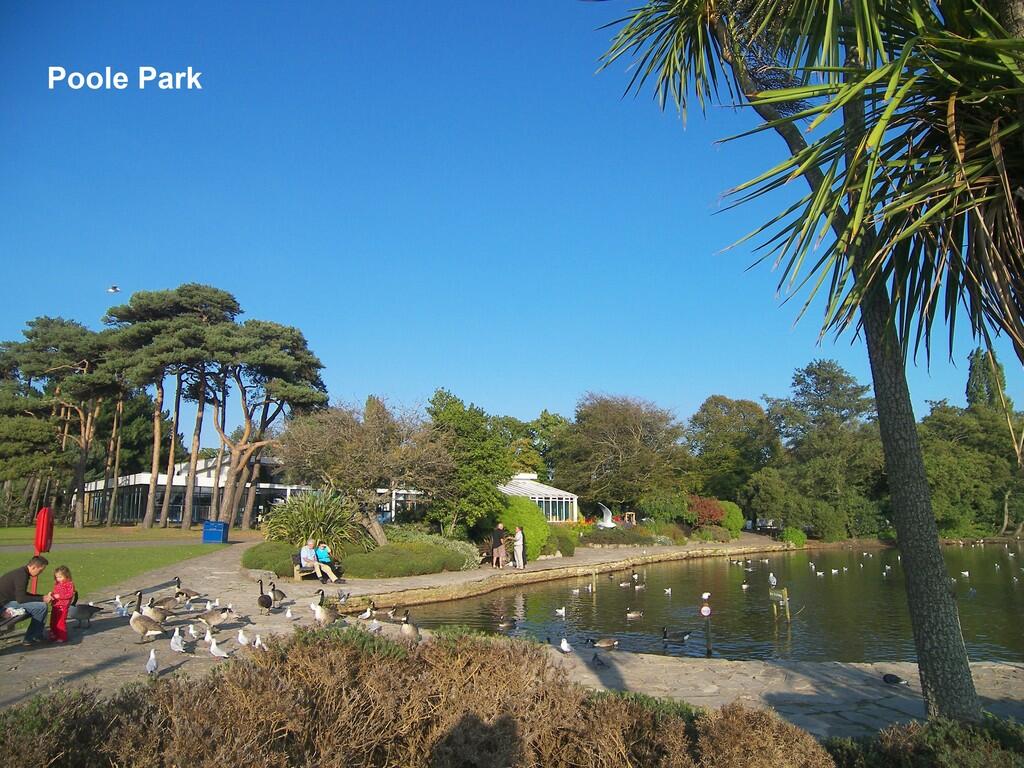 Poole Park Lake 1
