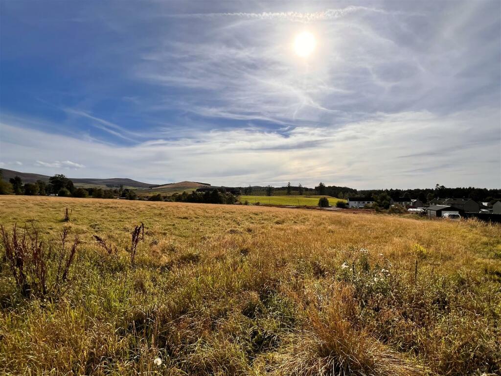 View from end of the road.jpg