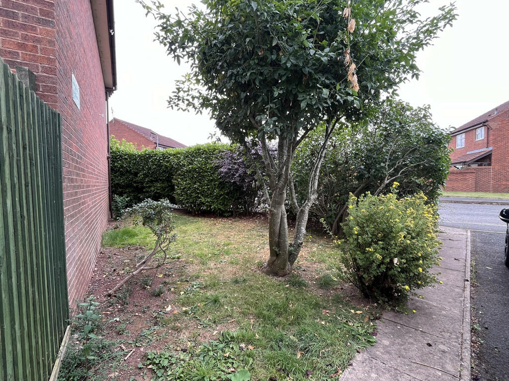 Side garden
