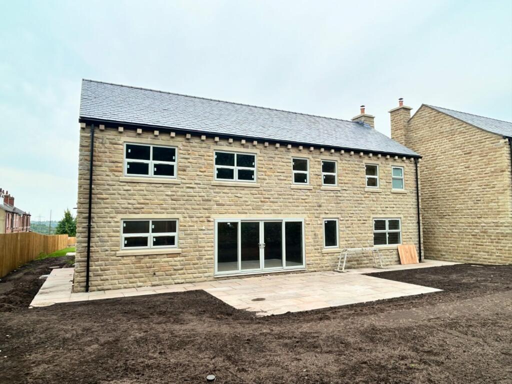 Rear Plot 3