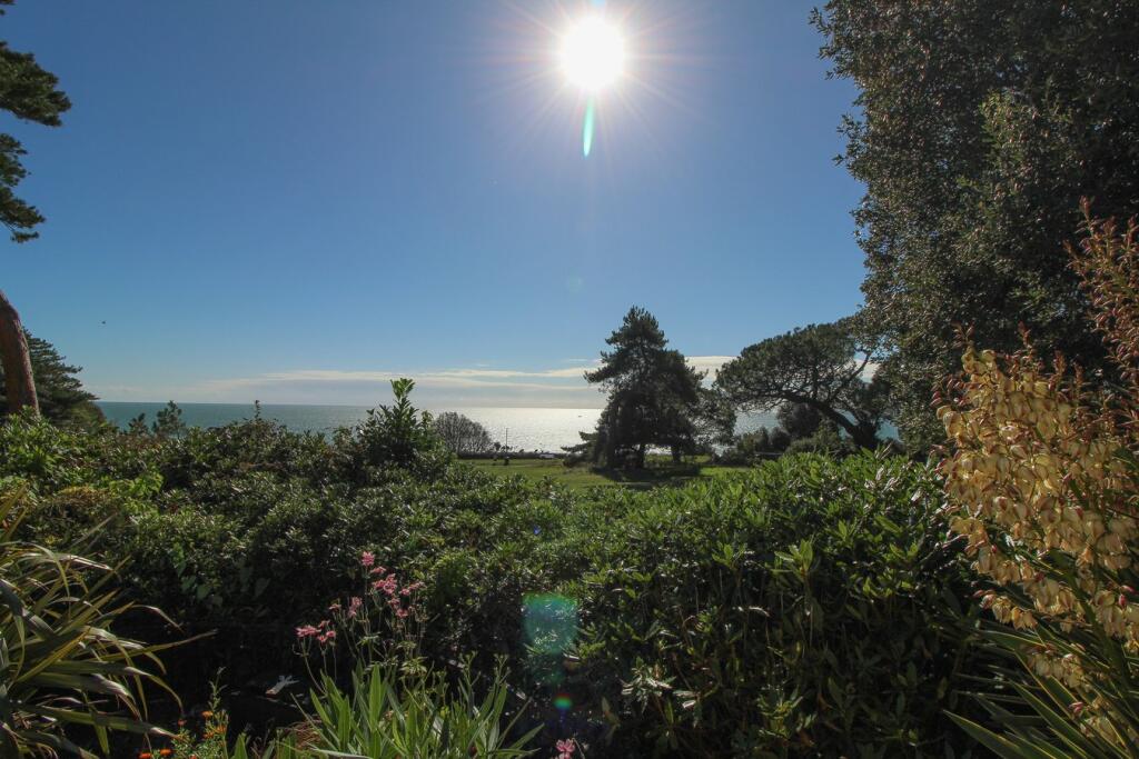 View from communal garden 