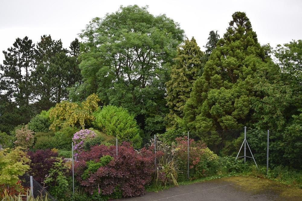 view of garden from the master bedroom Lemon Orcha