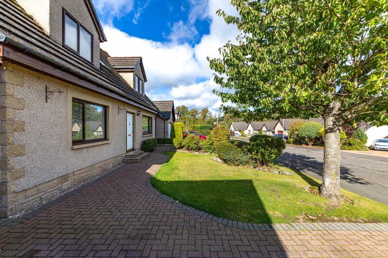 Front garden and drive