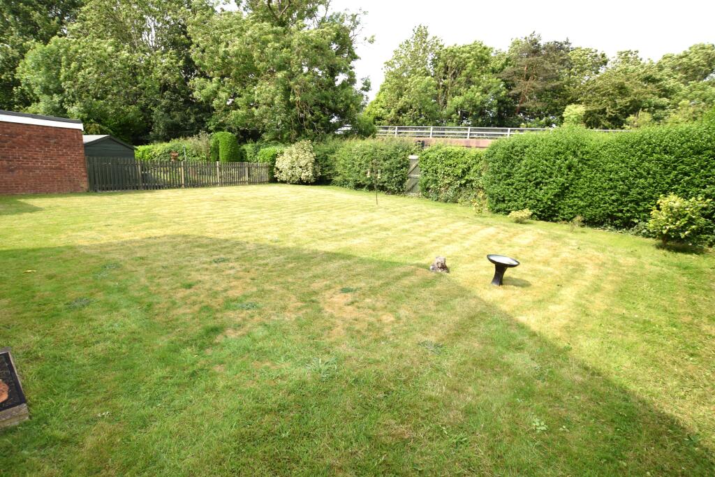 garden