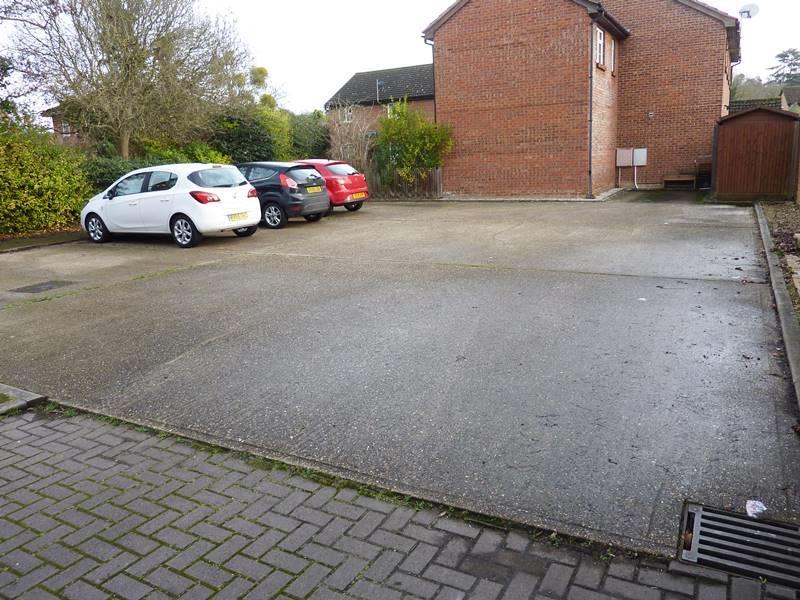 Car Parking.jpg
