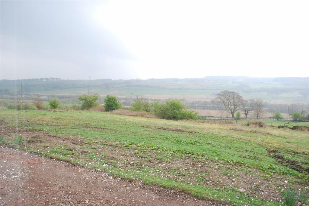 Picture No. 16