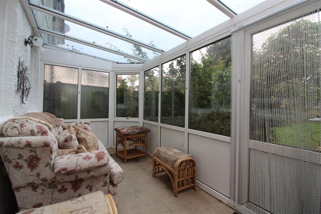 IMG 6894  Medium  T202510201246.jpg