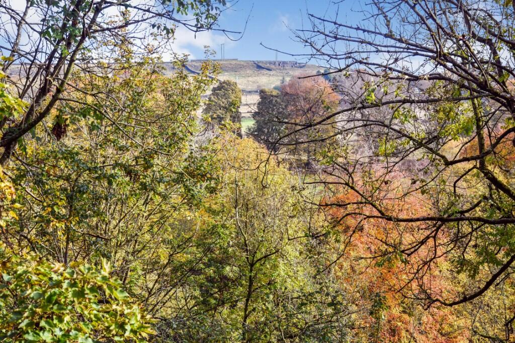 Moorland Views
