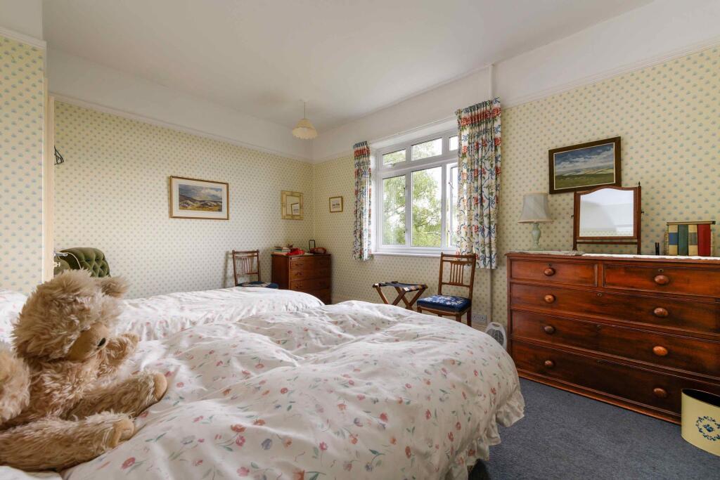 TEK HiRes 240827 058.jpeg