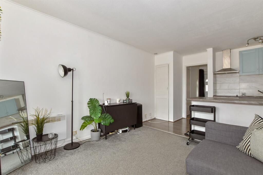 Living/Kitchen/ Bedroom Area