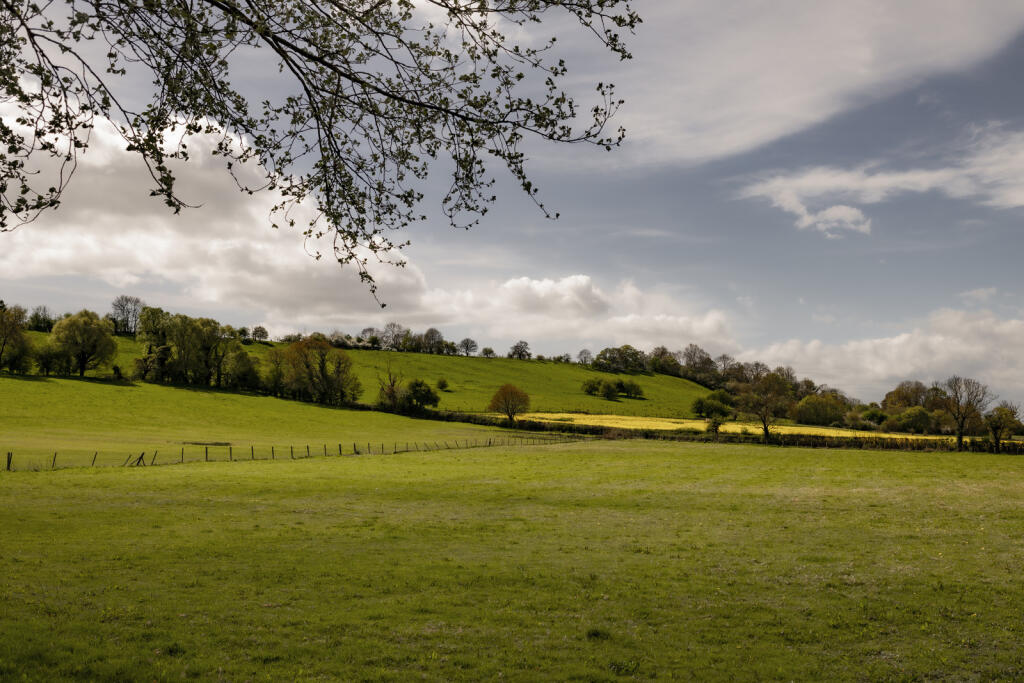 277969 - Ah.hr-20.jpg