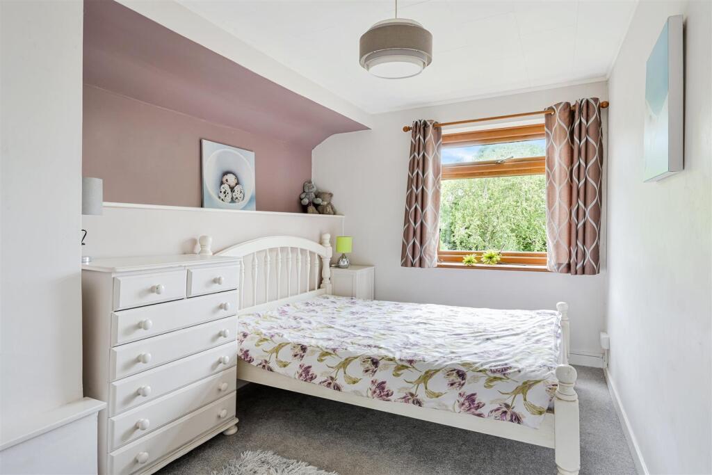 ROSE BUSHES, 63 (17).jpg