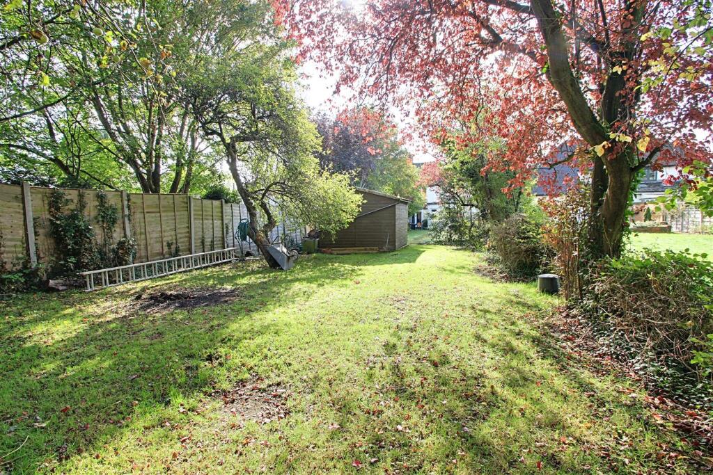Garden 4.jpg