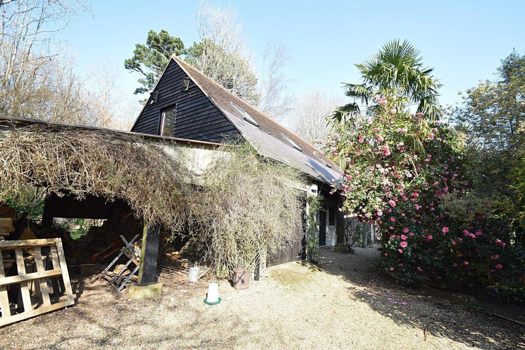 Side Angle of Barn 