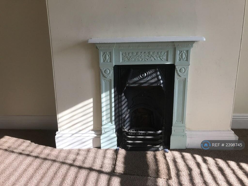 Feature Fireplace In Bed 1 