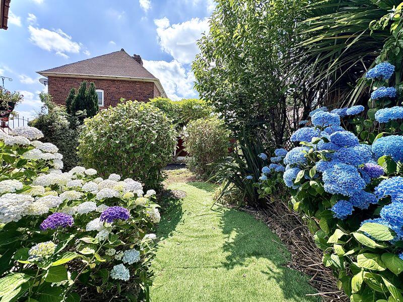 SIDE GARDEN