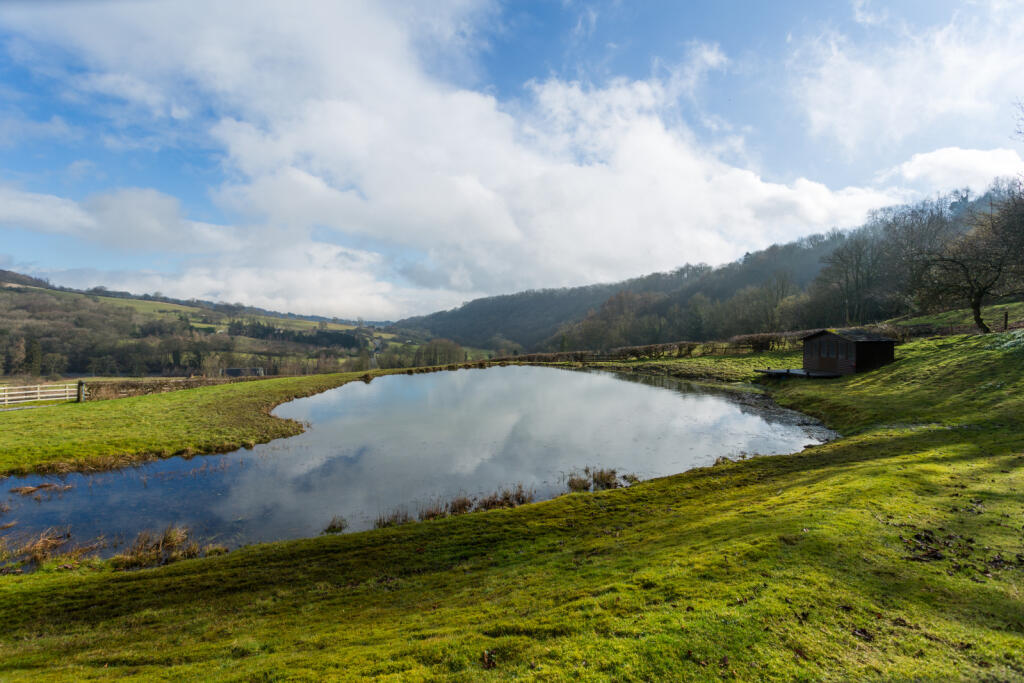 Wildlife Pond