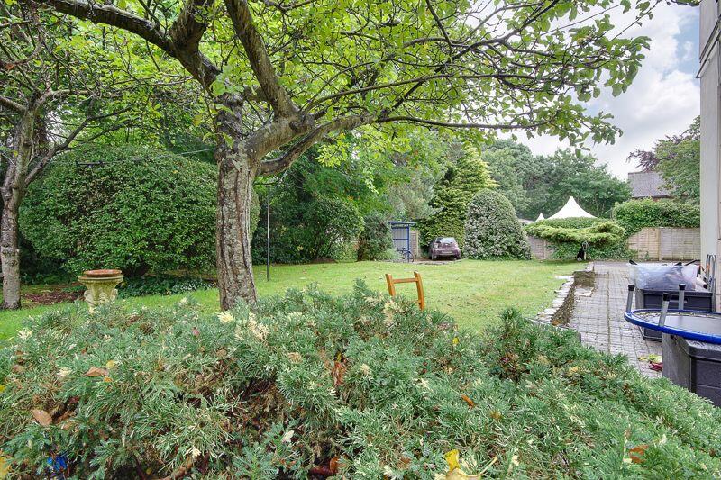 Communal Garden